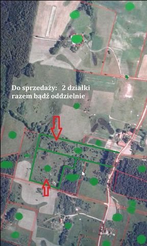 Działka budowlana na sprzedaż Orzechowo, Ubocze Wsi, Orzechowo 49 300m2 Foto 1