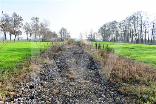 Działka budowlana na sprzedaż Żernica 21 000m2 Foto 4