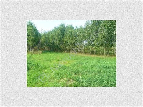 Działka budowlana na sprzedaż Chrzanów Mały 1 500m2 Foto 2