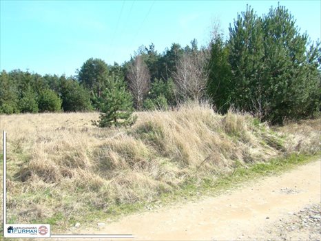 Działka budowlana na sprzedaż Laskowo 1 823m2 Foto 1
