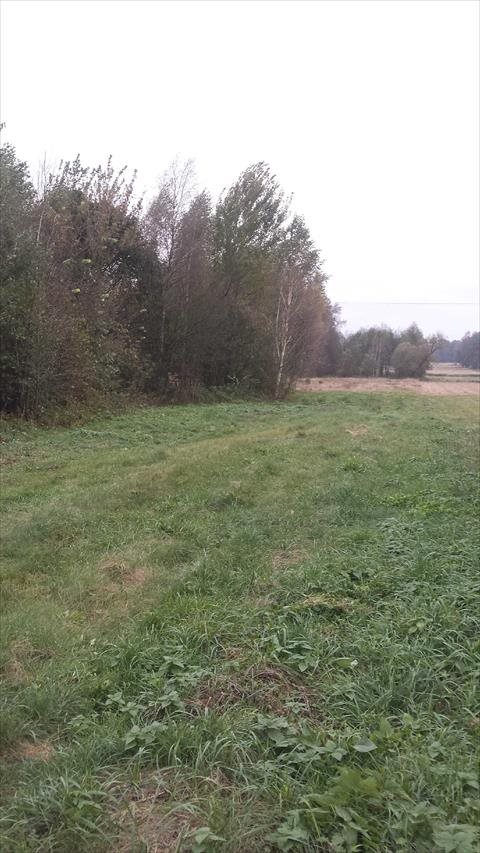 Działka rolna na sprzedaż Kuskowizna 22 000m2 Foto 3