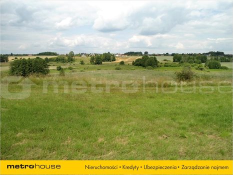 Działka inna na sprzedaż Jankowo, Pobiedziska 27 000m2 Foto 5