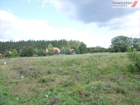 Działka budowlana na sprzedaż Wołczkowo 3 000m2 Foto 13