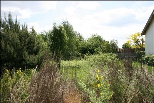 Działka budowlana na sprzedaż Konstancin-jeziorna, Obory-łyczyn, Podlaska 1 200m2 Foto 3