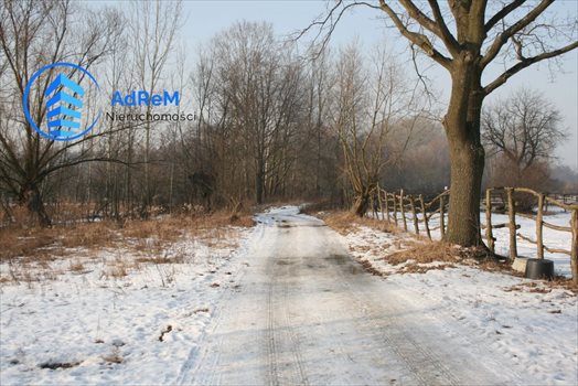 Działka rolna na sprzedaż Okrzeszyn 10 000m2 Foto 4
