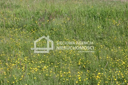 Działka budowlana na sprzedaż Lubowidz 1 160m2 Foto 7
