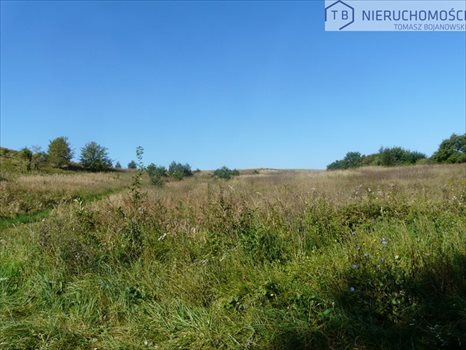 Działka budowlana na sprzedaż Potrzanowo 25 642m2 Foto 4