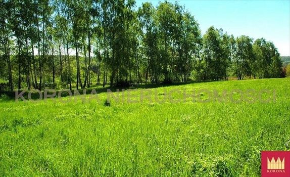 Działka komercyjna na sprzedaż Rybnik 11 783m2 Foto 9