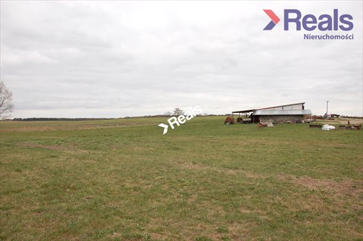 Dom na sprzedaż Drzonowo Wałeckie 106m2 Foto 2