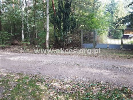 Działka budowlana na sprzedaż Prace Duże 3 000m2 Foto 3
