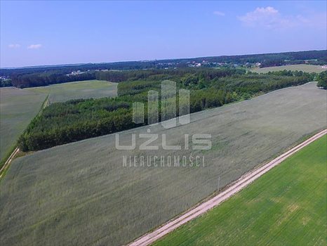 Działka inna na sprzedaż Klonówka, Las, Rzeka 101 600m2 Foto 6