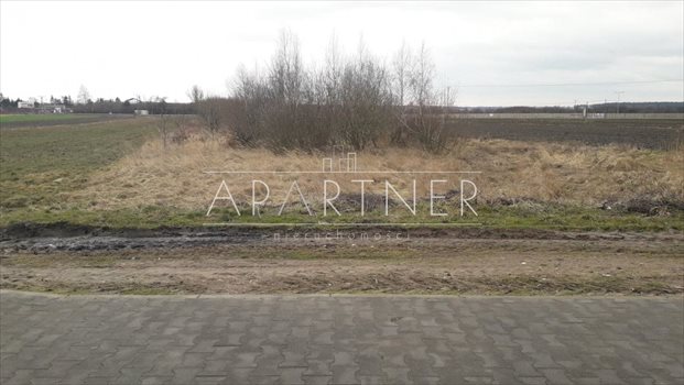 Działka budowlana na sprzedaż Konstantynów Łódzki, Niesięcin 5 388m2 Foto 3