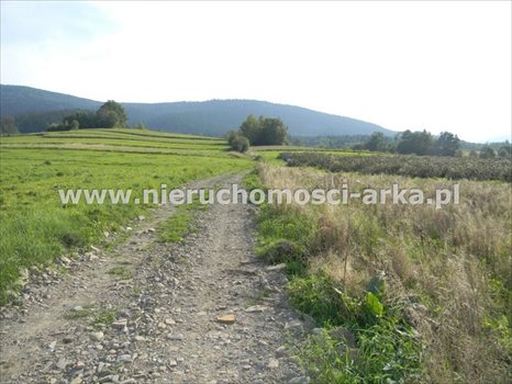 Działka budowlana na sprzedaż Dobra 1 300m2 Foto 1