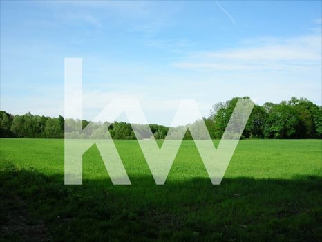 Działka siedliskowa na sprzedaż Kryształowice 10 000m2 Foto 2