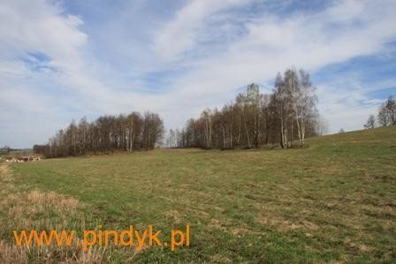 Działka budowlana na sprzedaż polska, Mysłakowice, Łomnica 1 209m2 Foto 4