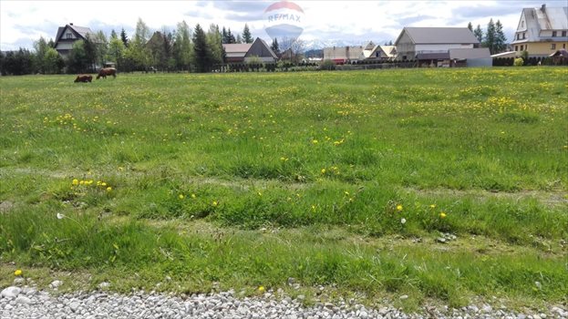 Działka budowlana na sprzedaż Ludźmierz 1 000m2 Foto 3