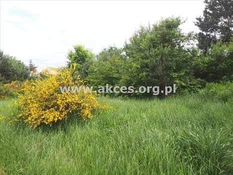 Działka budowlana na sprzedaż Jesówka 1 400m2 Foto 6