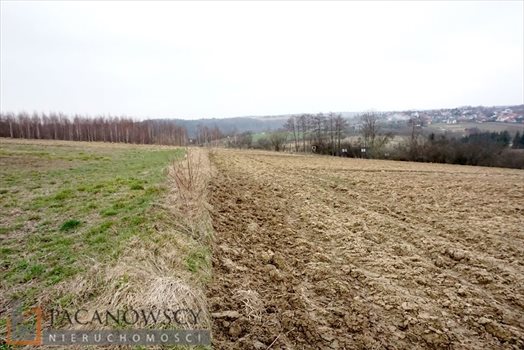 Działka rolna na sprzedaż Januszowice 10 200m2 Foto 2