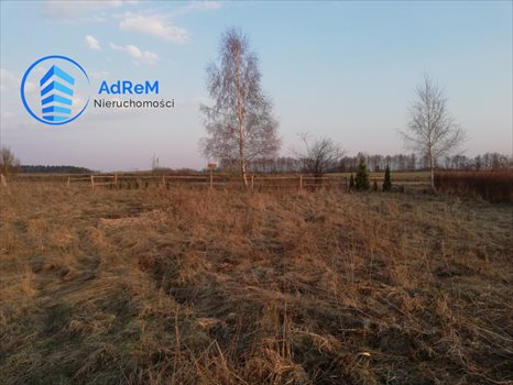 Działka budowlana na sprzedaż Mrozy Wielkie 1 063m2 Foto 3
