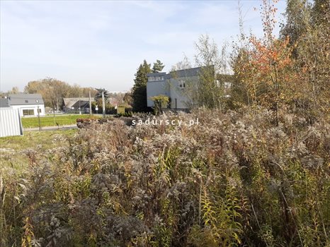 Działka budowlana na sprzedaż Kraków, Zwierzyniec, Wola Justowska, al. Panieńskich Skał 771m2 Foto 6