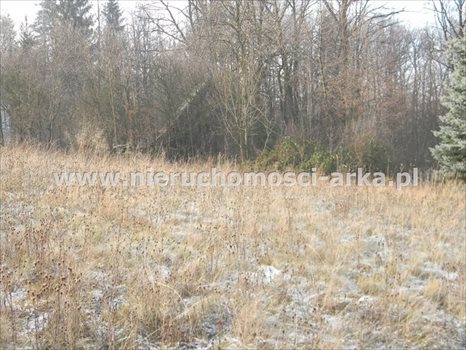 Działka budowlana na sprzedaż Limanowa 1 500m2 Foto 1
