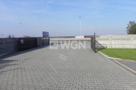 Lokal użytkowy na sprzedaż Ostrów Wielkopolski, Wysocko Wielkie, Wylotowa 1 234m2 Foto 11