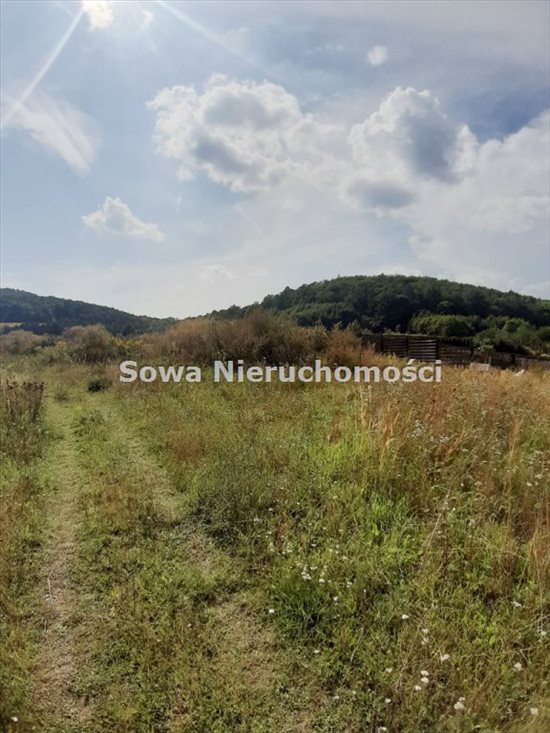 Działka inna na sprzedaż Wałbrzych, Poniatów 1 804m2 Foto 3