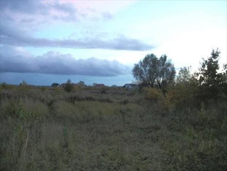 Działka rolna na sprzedaż Bezrzecze 1 279m2 Foto 5