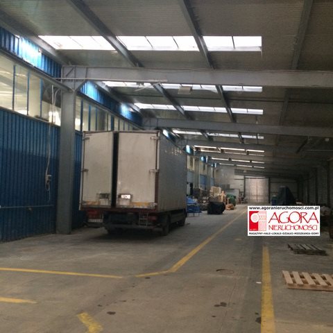 Lokal użytkowy na wynajem Nowy Targ 8 000m2 Foto 10