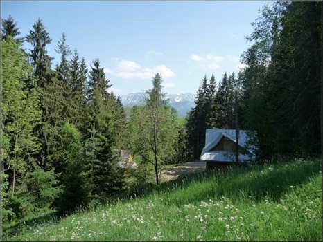 Dom na sprzedaż Zakopane, Równia Krupowa 411m2 Foto 3