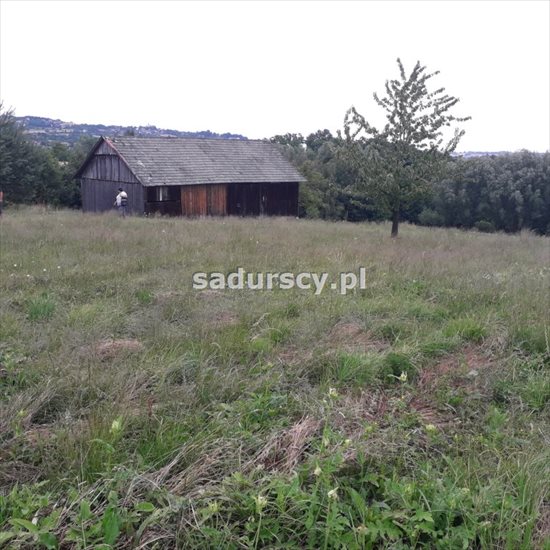 Działka budowlana na sprzedaż Sławkowice 3 547m2 Foto 2