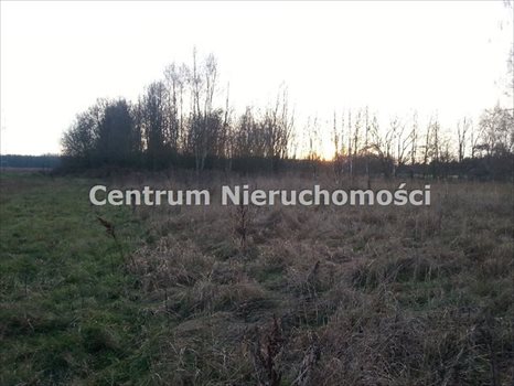 Działka inna na sprzedaż Wręczyca 16 900m2 Foto 3