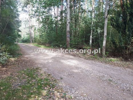 Działka budowlana na sprzedaż Prace Duże 3 000m2 Foto 11