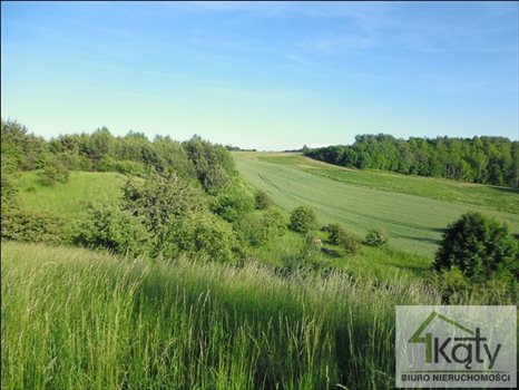 Działka budowlana na sprzedaż Jemiołowo, Jemiołowo, Jemiołowo 19 300m2 Foto 6