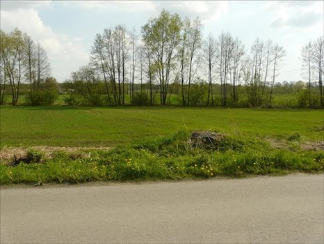 Działka inna na sprzedaż Majdan Krasieniński, Niemce 2 184m2 Foto 1