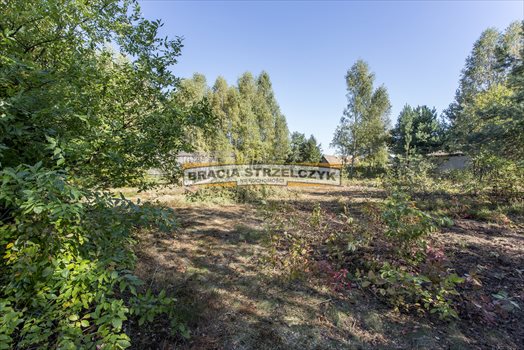 Działka budowlana na sprzedaż Płatków 3 900m2 Foto 5