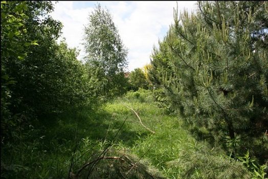 Działka budowlana na sprzedaż Konstancin-jeziorna, Obory-łyczyn, Podlaska 1 200m2 Foto 2