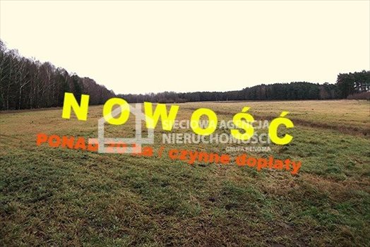 Działka leśna na sprzedaż Strzeczona 206 330m2 Foto 1