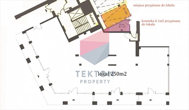Lokal użytkowy na wynajem Gdynia, Śródmieście, Tadeusza Wendy 251m2 Foto 3