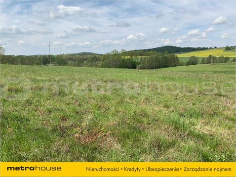 Działka inna na sprzedaż Trzepowo, Przywidz 1 031m2 Foto 3