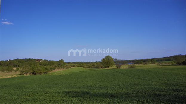 Działka siedliskowa na sprzedaż Potrzanowo 19 400m2 Foto 1