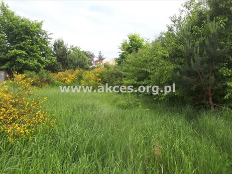 Działka budowlana na sprzedaż Jesówka 1 400m2 Foto 1