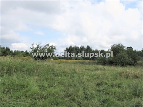 Działka inna na sprzedaż Kobylnica 1 082m2 Foto 5