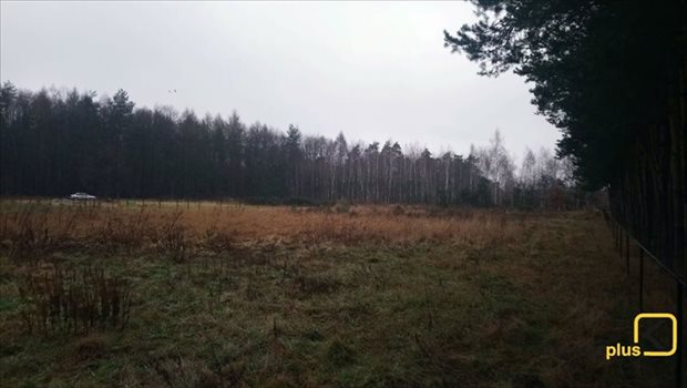 Działka budowlana na sprzedaż Orzesze, Woszczyce, Palowicka 900m2 Foto 8
