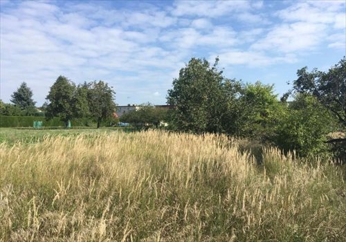 Działka budowlana na sprzedaż Dębienko 915m2 Foto 4