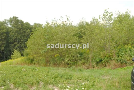 Działka budowlana na sprzedaż Głogoczów 1 965m2 Foto 1