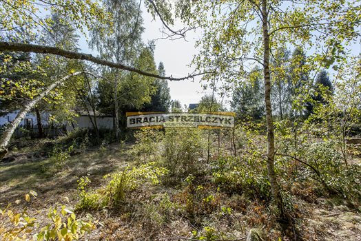 Działka budowlana na sprzedaż Płatków 3 900m2 Foto 13