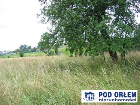 Działka rolna na sprzedaż Pietrzykowice 3 943m2 Foto 3