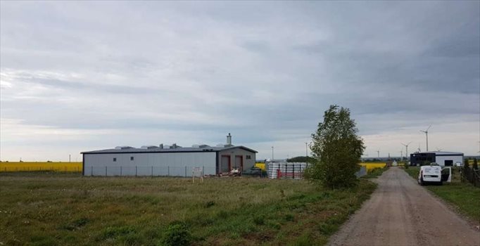 Działka budowlana na sprzedaż Łebcz 4 000m2 Foto 4