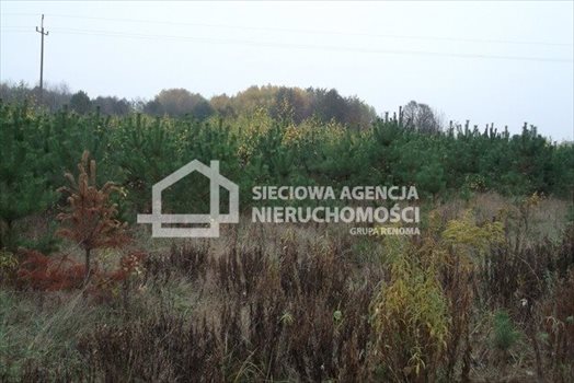 Działka leśna na sprzedaż Drozdowo 93 200m2 Foto 12